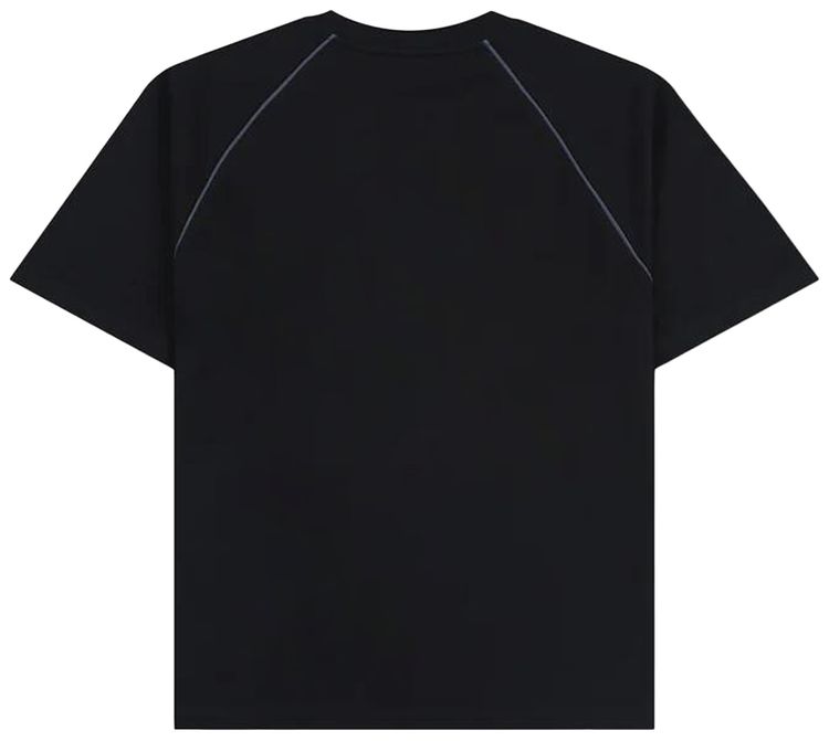 Pleasures Crumble Heavyweight Raglan Tee Black