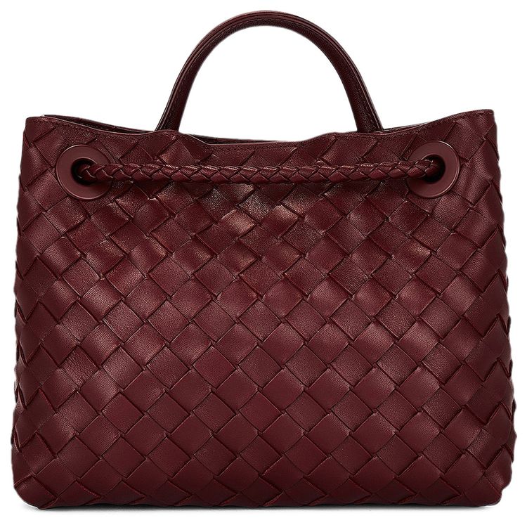 Bottega Veneta Small Andiamo Bag Barolo