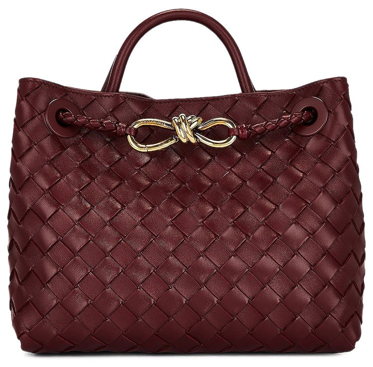 Bottega Veneta Small Andiamo Bag Barolo