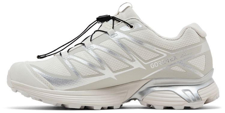 Salomon XT Pathway GORE TEX Lunar Rock