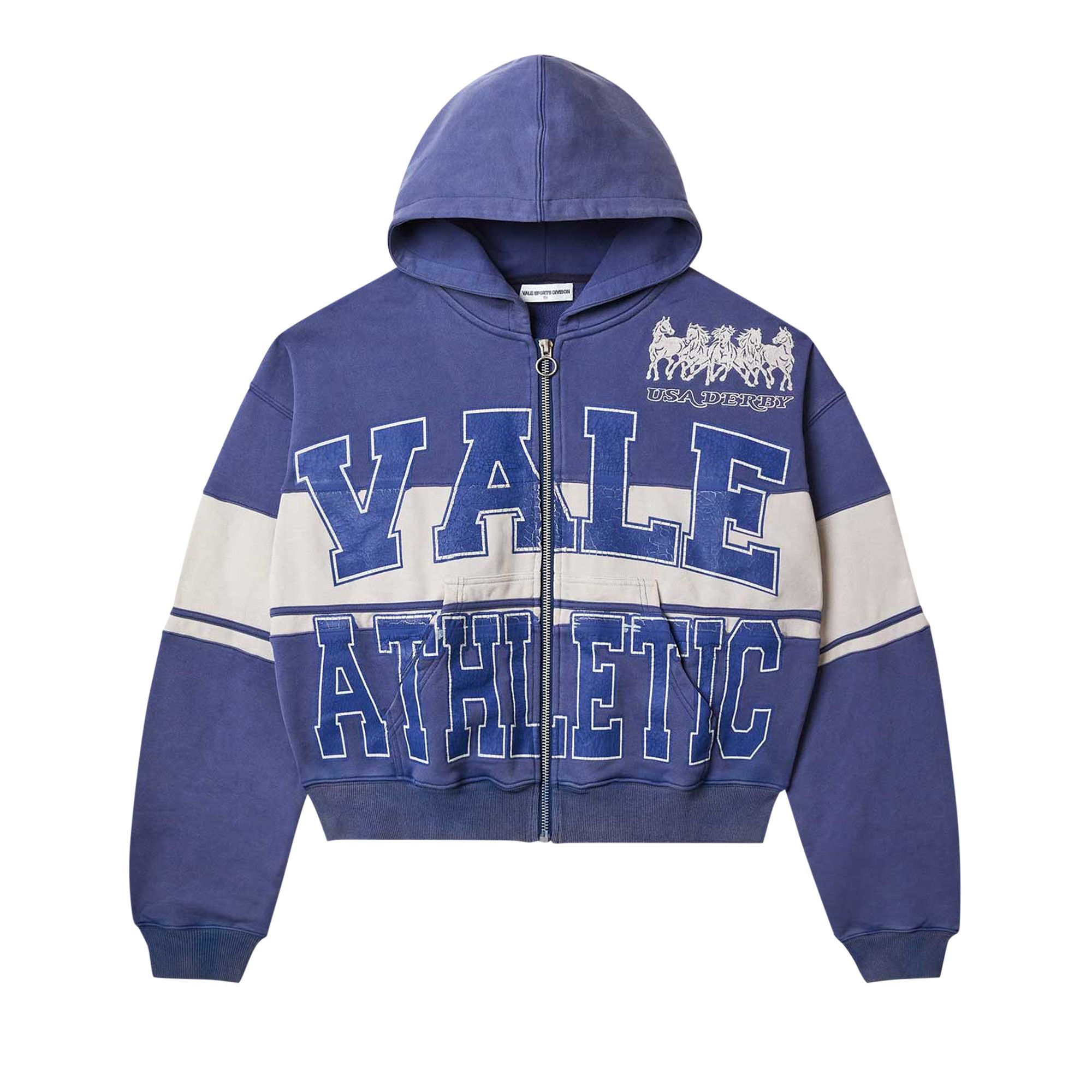 Buy Vale Forever Athletic Zip Up Hoodie 'Blue' - 11451