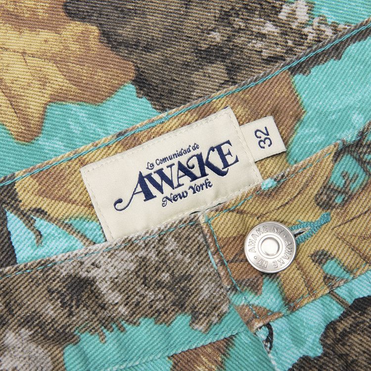 Awake NY Painter Shorts Seaglass