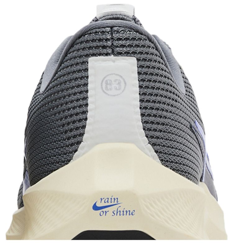 Nike Air Zoom Pegasus 40 Premium Quadruple Swoosh   Smoke Grey Racer Blue