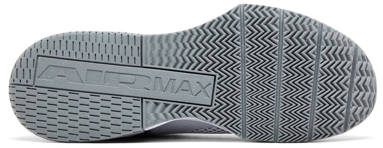 Nike Air Max Alpha Trainer 6 Cool Grey