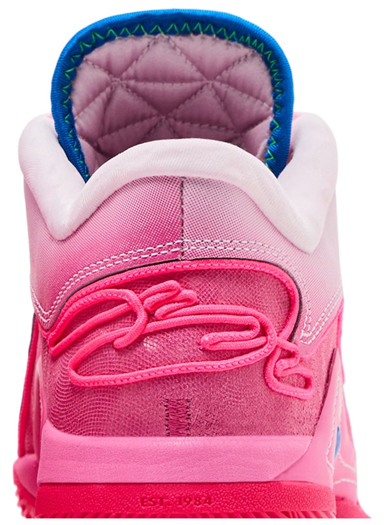 LeBron 22 EP I Promise