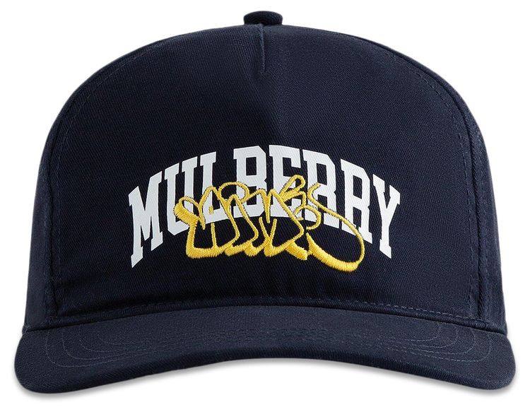 Aime Leon Dore Mulberry Throwie Hat Navy Blazer