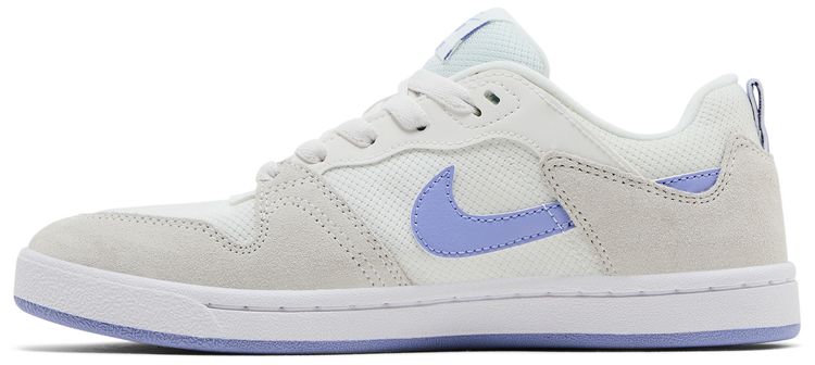 Nike Wmns Alleyoop SB Summit White Light Thistle