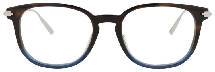 Dior Round Optical Glasses HavanaSilverTransparent