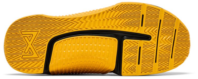 Nike Metcon 9 TB Black University Gold