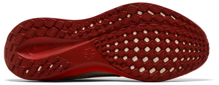 Eliud Kipchoge x Nike Air Zoom Pegasus 41 Its Just The Start