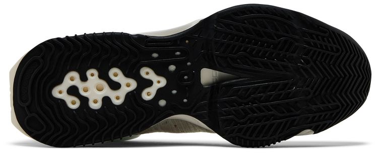 Nike Air Zoom GT Jump 2 EP Fresh