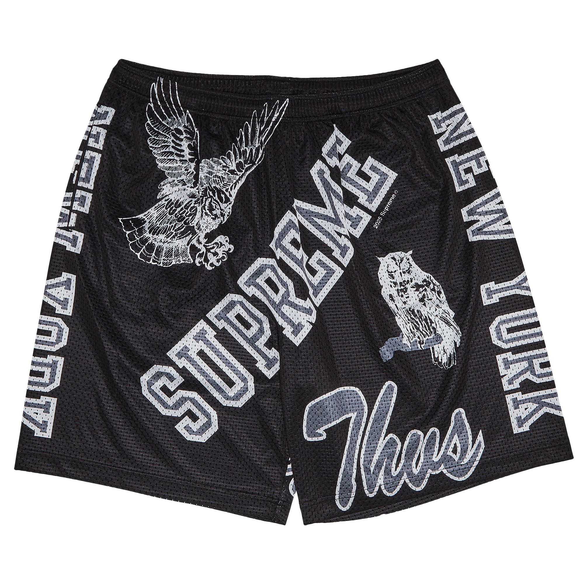 Buy Supreme Varsity Mesh Short 'Black' - SS25SH41 BLACK | GOAT