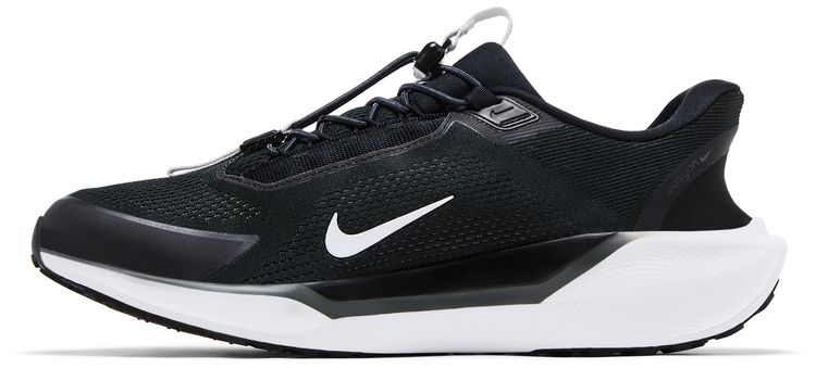 Nike Air Zoom Pegasus 41 EasyOn Black Photon Dust White