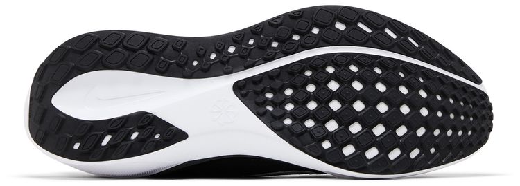 Nike Air Zoom Pegasus 41 EasyOn Black Photon Dust White