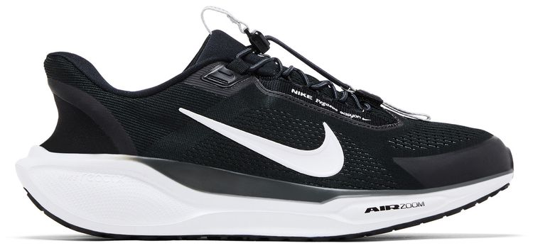 Nike Air Zoom Pegasus 41 EasyOn Black Photon Dust White