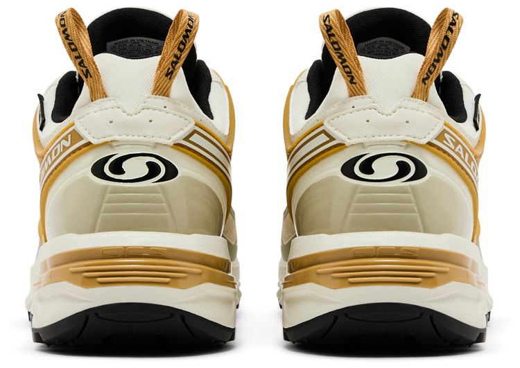 Salomon ACS Pro GORE TEX Icicle Antelope