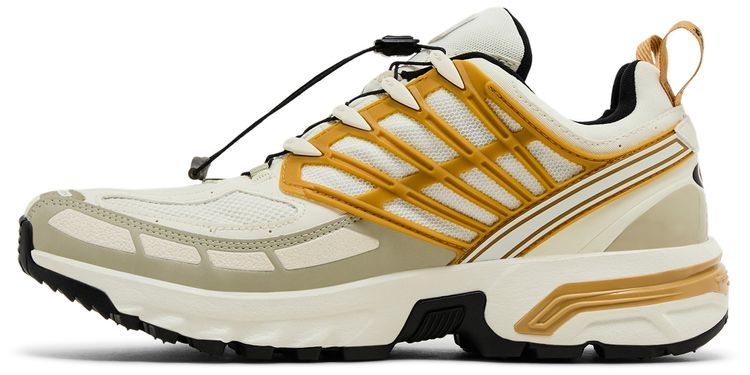 Salomon ACS Pro GORE TEX Icicle Antelope