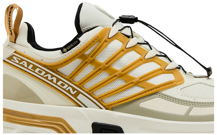 Salomon ACS Pro GORE TEX Icicle Antelope