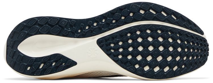 Nike Air Zoom Pegasus 41 Prequel