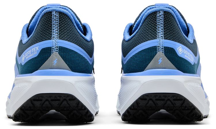 Nike Wmns Air Zoom Pegasus 41 GORE TEX Cobalt Bliss