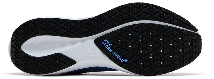 Nike Wmns Air Zoom Pegasus 41 GORE TEX Cobalt Bliss