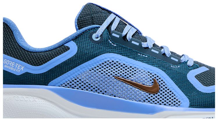 Nike Wmns Air Zoom Pegasus 41 GORE TEX Cobalt Bliss