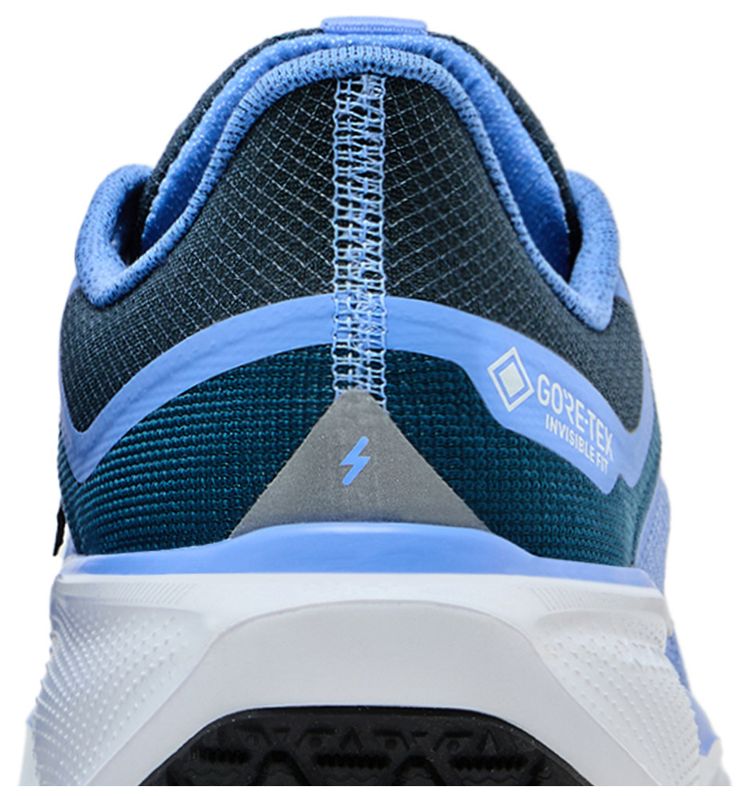 Nike Wmns Air Zoom Pegasus 41 GORE TEX Cobalt Bliss