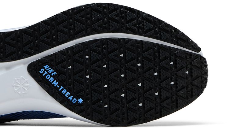 Nike Wmns Air Zoom Pegasus 41 GORE TEX Cobalt Bliss