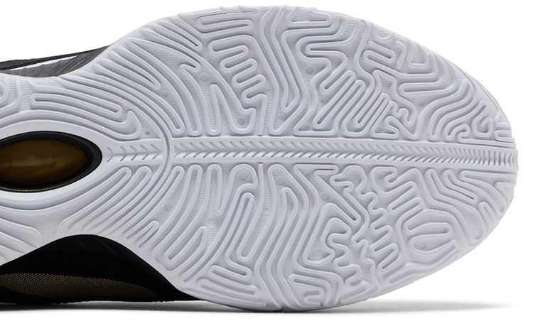 LeBron 21 Prime 93