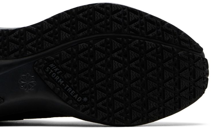 Nike Wmns Air Zoom Pegasus 41 GORE TEX Black Anthracite