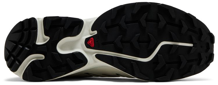 Salomon XT 6 Expanse Icicle