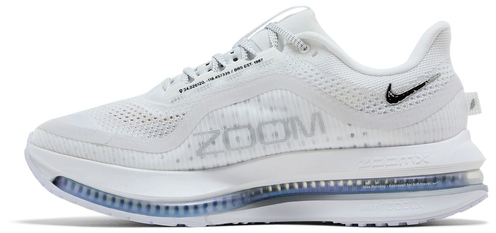 Nike Pegasus Premium White Metallic Silver