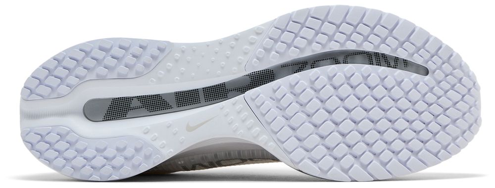 Nike Pegasus Premium 'white Metallic Silver'