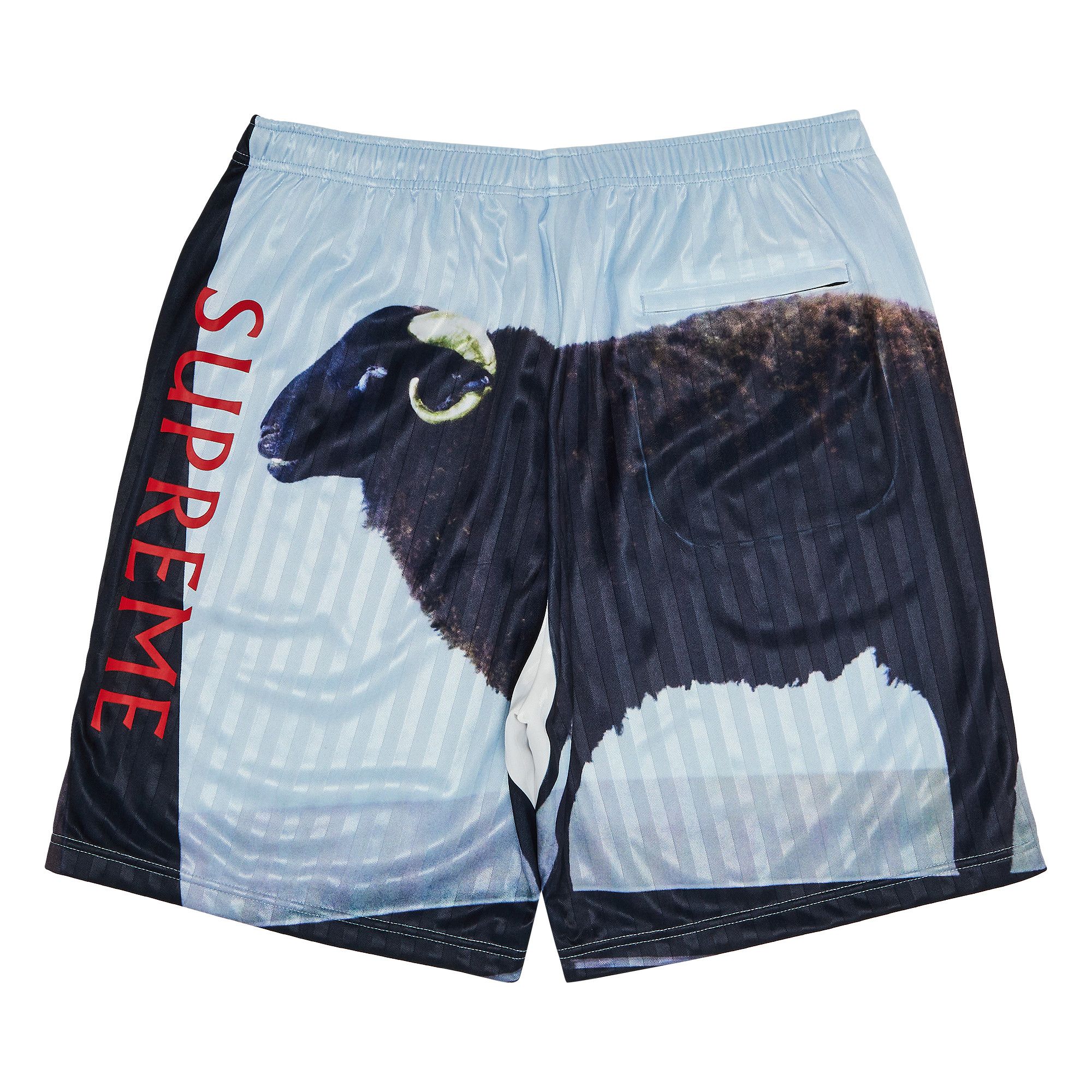 Buy Supreme x Damien Hirst Soccer Short 'Black' - SS25SH30