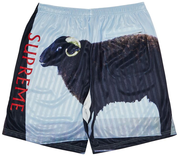 Supreme x Damien Hirst Soccer Short Black