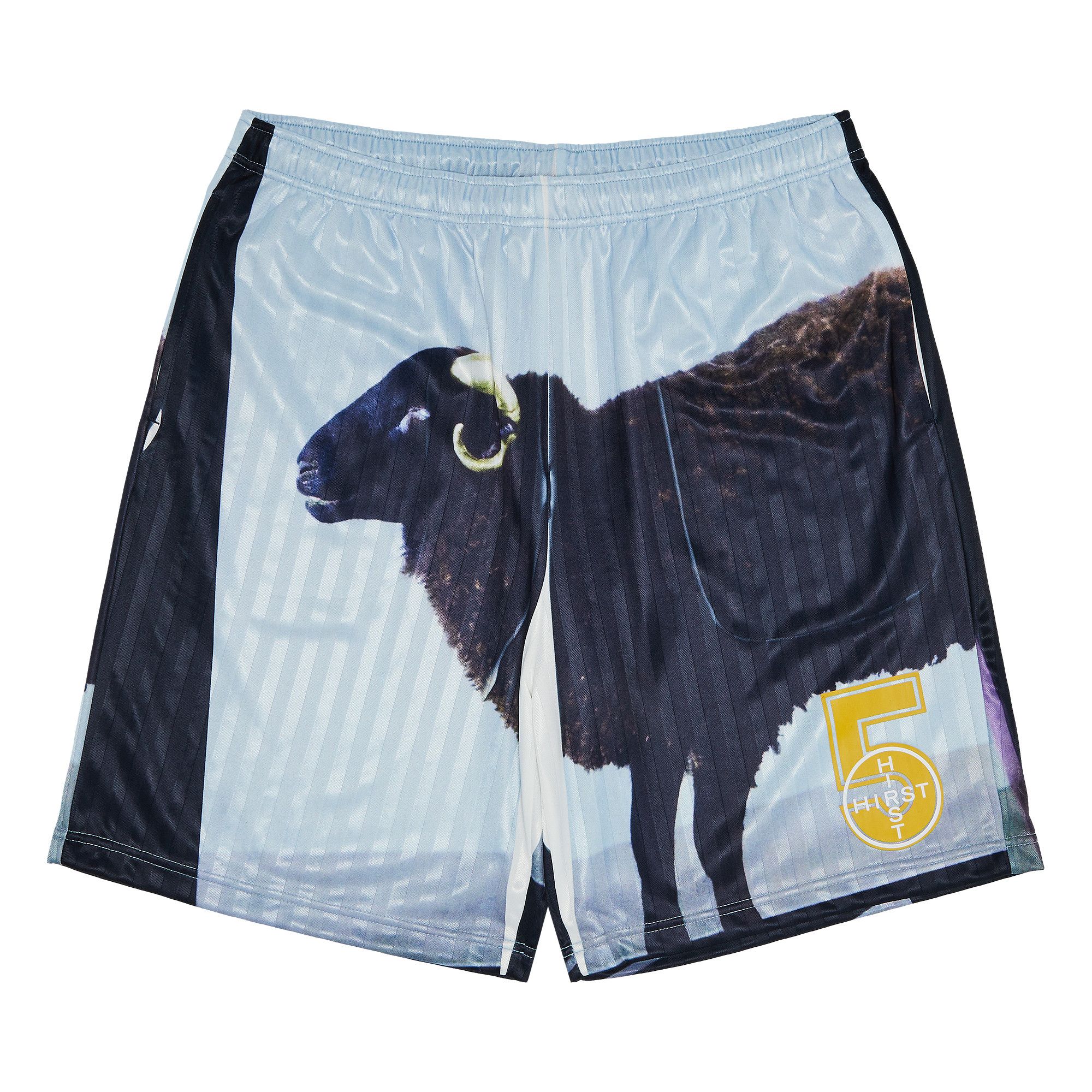 Buy Supreme x Damien Hirst Soccer Short 'Black' - SS25SH30