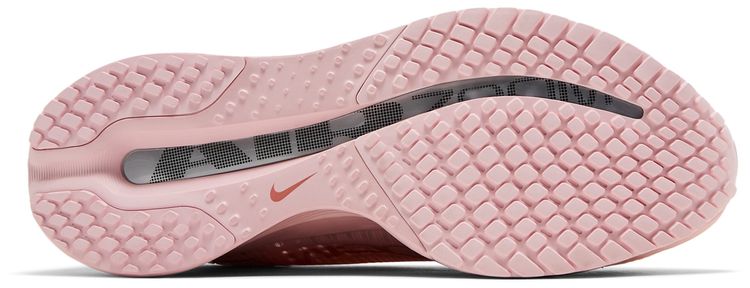 Nike Wmns Pegasus Premium Atmosphere