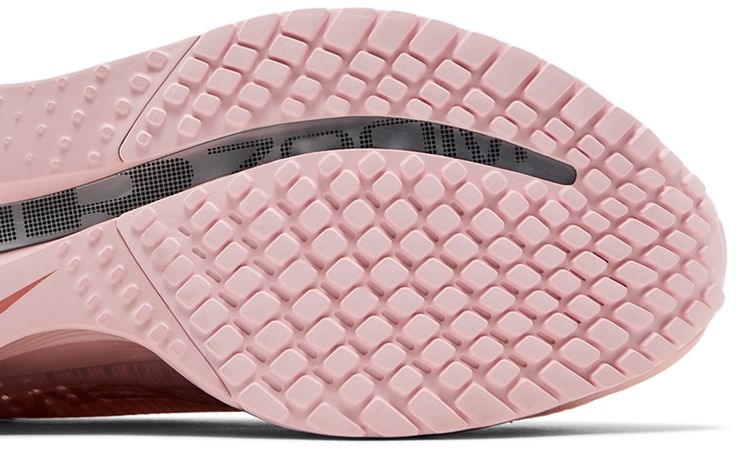 Nike Wmns Pegasus Premium Atmosphere