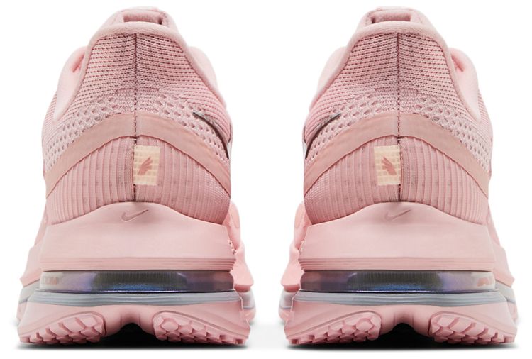 Nike Wmns Pegasus Premium Atmosphere