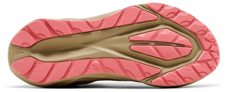 Asics Wmns Novablast 5 TR Nature Bathing