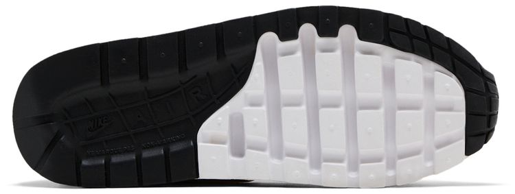 Nike Air Max 1 GS Blue Recall