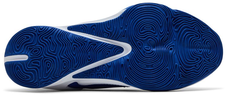 Nike Zoom Freak 3 TB Game Royal
