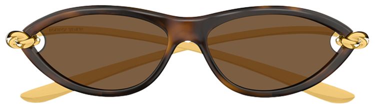 Bottega Veneta Cat Eye Sunglasses Shiny Sprayed Medium Havana