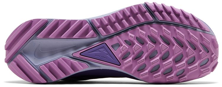 Nike Wmns React Pegasus Trail 4 GORE TEX Oxygen Purple
