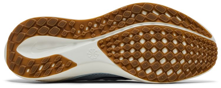 Nike Air Zoom Pegasus 41 Sail Anthracite