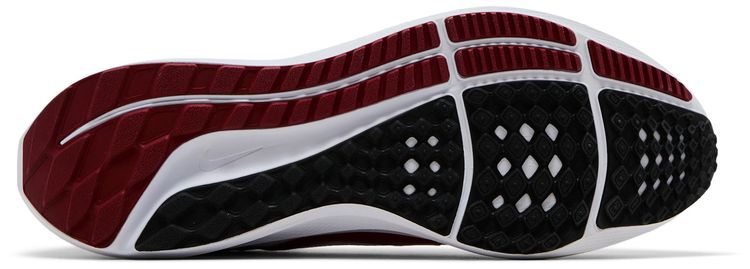 Nike Air Zoom Pegasus 40 Arkansas