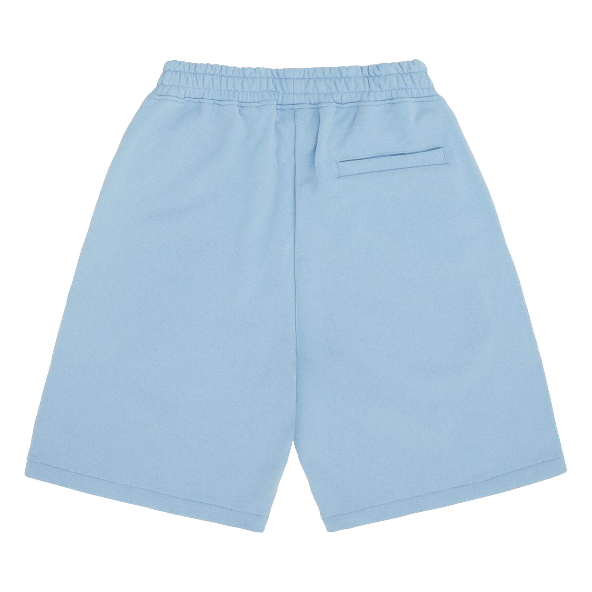 パンツ CORTEIZ  PUFF PRINT SWEATSHORT Buy Corteiz Island Puff Print Sweatshort 'Baby Blue