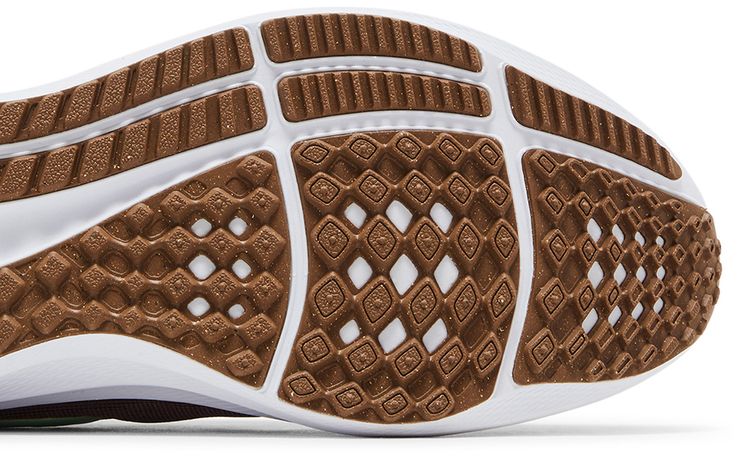 Nike Wmns Air Zoom Pegasus 39 Canyon Rust