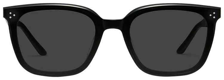 Gentle Monster By Row 01 Sunglasses Black