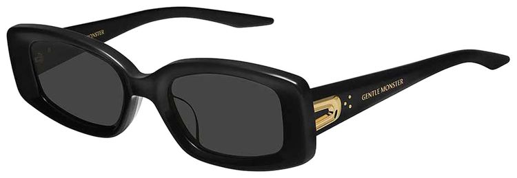 Gentle Monster Ash 01 Sunglasses Black